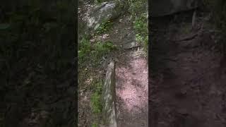 South Valley Trail at Prince William Forest Park