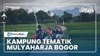  TRIBUN TRAVEL UPDATE: Kampung Tematik Mulyaharja, Destinasi Wisata Baru di Kota Bogor