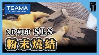 SLS選擇性雷射燒結，打樣即製造？處理複雜結構、惡劣環境、高強度材質｜黑手Ochiu【愛教不教】088