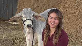 Animal & Range Sciences Graduate Program at NMSU