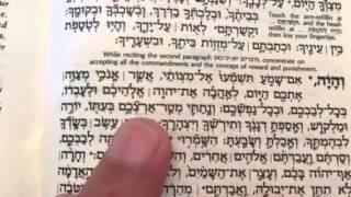 Hebrew Reading Practice: Shema second paragraph