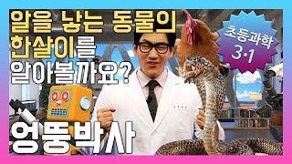 알을 낳는 동물의 한살이를 알아볼까요? 초등3학년 과학, 실험, 인강