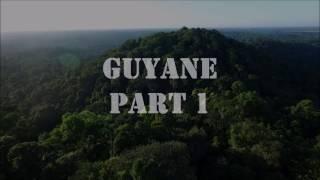 Rainforest by drone : French Guiana, Part 1