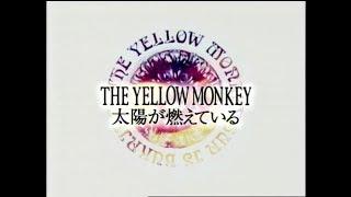 THE YELLOW MONKEY – The Sun Is Burning