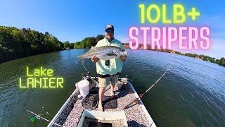 10LB+ Stripers:Fishing Lake Lanier Early Spring