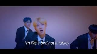 I'm like a bird not a turkey (seventeen misheard lyrics)