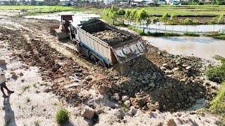 Great Bulldozer Pouring Stone Filling Up Land To Make Road 15Ton Truck Dumping Stone