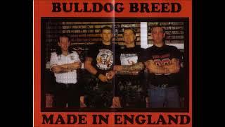 Bulldog Breed - Made in England