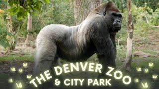 Exploring The Denver Zoo And City Park