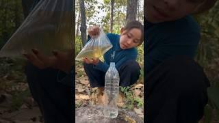 Survival Skills- easy methood saving water transfer to bottle #camping #bushcraft#water #smart