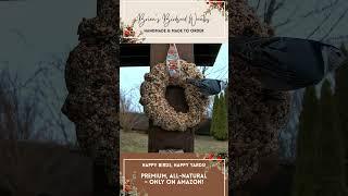 Birdseed Wreath Glow-Up for Your Backyard!