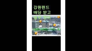 연금 해지금으로 산 강원랜드 일부 정리 이유는 #강원랜드 #주식투자 #주식