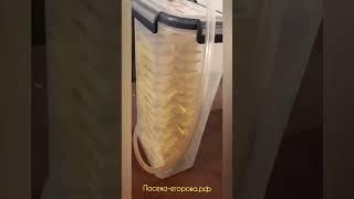Инструментальное осеменение пчелиной матки. Этапы #матководство #пчеловодство #ИОПМ