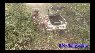 Neste Rally Finland 2019 (Loubet's big crash)