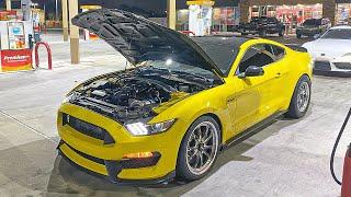 TERRORIZING STREETS IN A 800HP STRAIGHT PIPED SHELBY GT350 *POV*