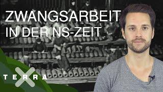 Zwangsarbeit unter dem Hakenkreuz | Terra X