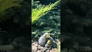 МУДРОСТЬ что самое легкое и трудное в жизни