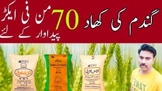 What are the best fertilizers for Wheat crop | Fertilizers plan for wheat crop | Abid Ali Agrarian