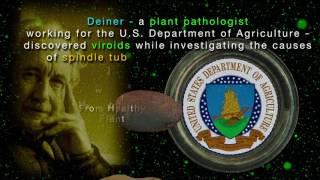 Homo Sapiens - Who Are We? - Chapter Nineteen