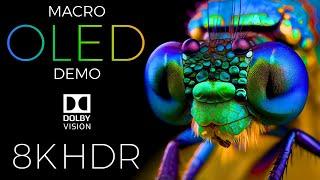 Macro World OLED Demo HDR 8K Ultra HD Dolby Vision™ 60fps