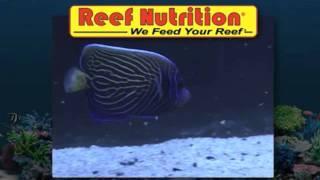 Reef Nutrition Artic Pods