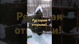 Ресторан открыли! Рады все!