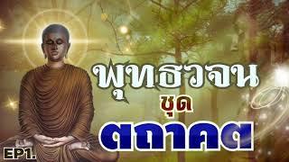 ฟังพระสูตร พุทธวจน ชุด ตถาคต EP1. อ่านโดย : ภิกขุเอเอ อธิจิตโต