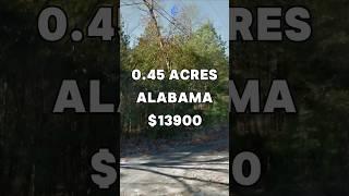 0.45 Acres with road access for Sale in Birmingham Alabama for $13,900 #land #property #shorts #fyp