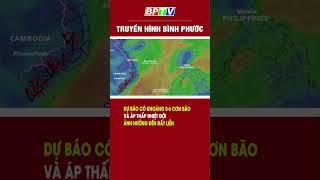 Dự báo có khoảng 5-6 cơn bão, áp thấp nhiệt đới ảnh hưởng đến đất liền #shorts  | BPTV