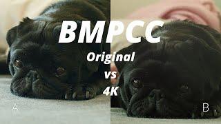 Original BMPCC vs BMPCC4K | Blind Test