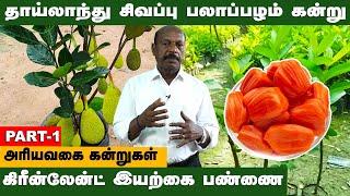 சென்னை அருகே கூடுவாஞ்சேரியில்  கிரீன்லேன்ட்  இயற்கை பண்ணை | Greenland Nursery | GEMTV