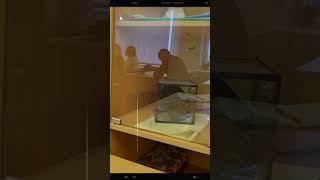 Обучение 