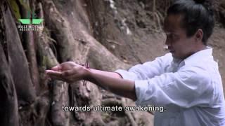 Bali Hotels Association | Hotel Video | Bali Is My Life : Short Film - Healer | Videographer