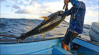 Hooked on Adventure | Fishing, Travel & Wild Moments!