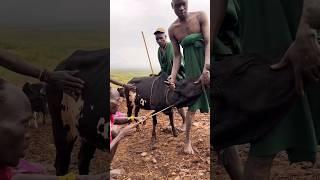 Mursi tribe africa #shorts #ethiopia #omovalley #omoadvisor #omoriver #short #shortvideo