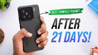 Xiaomi 15 Practical Review: After 21 Days!