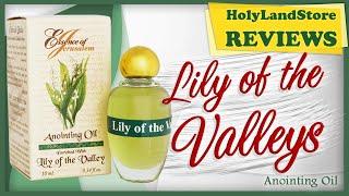 Anointing oil Lily os the Valleys by Ein Gedi from Holy Land