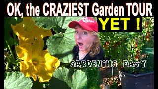 Garden Tour Easy TIPS Growing Vegetables Container Gardening Tomato-LARGE Harvest-Compost in Place