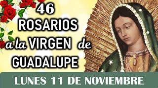 46 Rosarios a la Santísima Virgen de Guadalupe, Lunes 11 de Noviembre, Dia 15 Misterios Gozosos 