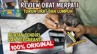 MERPATI TURUN URAT DAN LUMPUH ⁉️ DISINI OBATNYA #merpati #obatherbal