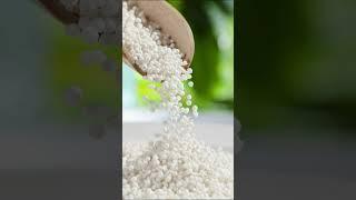 What is tapioca? Что такое тапиока? #shorts #short #biology #history