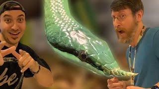 SNAKES WITH HORNS! - Invading Harris in Wonderland Pets!