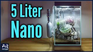 5L Nano Aquarium einrichten & bepflanzen | AquaOwner