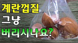 계란껍질을 이용한 8가지 활용법 | How to use egg shells