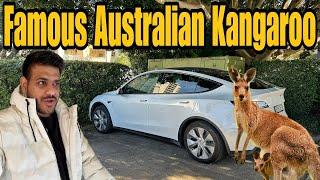 Finally Australia Mein Kangaroo Dhek Liye  |India To Australia By Road| #EP-104