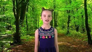Конкурс стихов лето   София Вашкевич, 7 лет   Гимназия №1