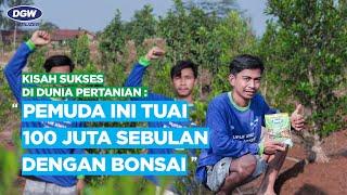 ! 100 JUTA SEBULAN DENGAN BUDIDAYA BONSAI : TATA CARA PEMUPUKAN DAN BUDIDAYA TANAMAN BONSAI