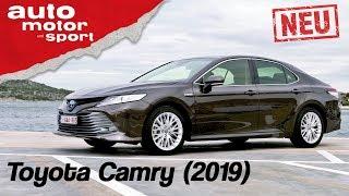 Toyota Camry Hybrid (2019):  Gelungenes Comeback? - Fahrbericht/Review | auto motor & sport