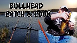 Bullhead Fishing Catch & Cook