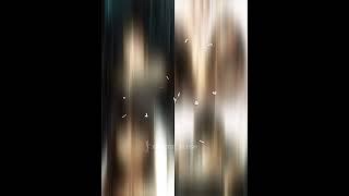 these beauties 🫧🫶 #fypviral #trending #blackpink #edits #aesthetic #jennie